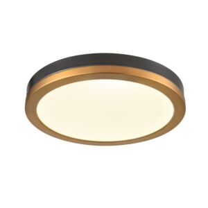 DVI Temagami 1-Light LED Flush Mount in Brass and Graphite