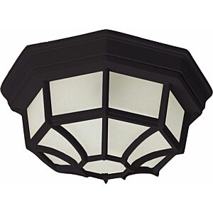 Crown Hill 2-Light Outdoor Ceiling Mount in Black