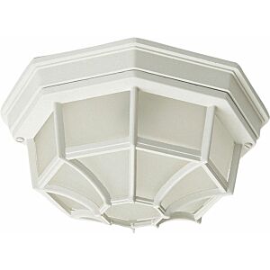 Crown Hill 2-Light Outdoor Ceiling Mount in White
