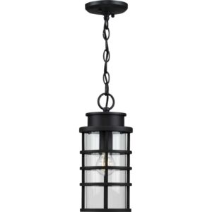 Port Royal 1-Light Hanging Lantern in Black