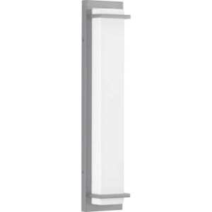 Z-1080 LED 2-Light LED Outdoor Wall Sconce in Metallic Gray