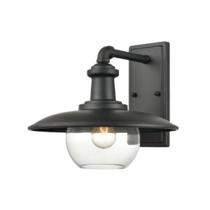 Jackson 1-Light Outdoor Wall Sconce in Matte Black