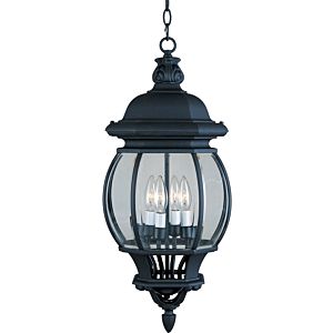 Crown Hill Outdoor Hanging Light