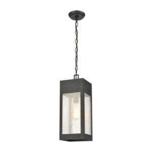 Angus 1-Light Outdoor Pendant in Charcoal