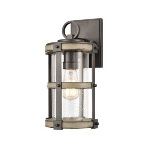 Annenberg 1-Light Outdoor Wall Sconce in Anvil Iron