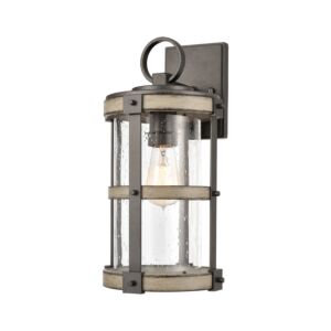 Annenberg 1-Light Outdoor Wall Sconce in Anvil Iron