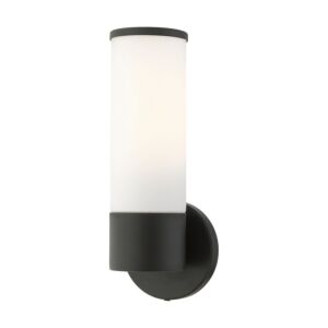 Lindale 1-Light Wall Sconce in Black
