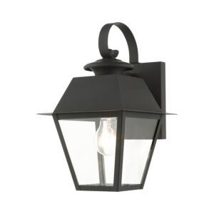 Wentworth 1-Light Outdoor Wall Lantern in Black w with Brushed Nickel Cluster