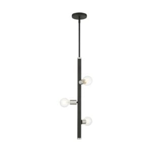 Bannister 3-Light Pendant in Black w with Brushed Nickels