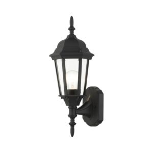 Hamilton 1-Light Outdoor Wall Lantern in Textured Black