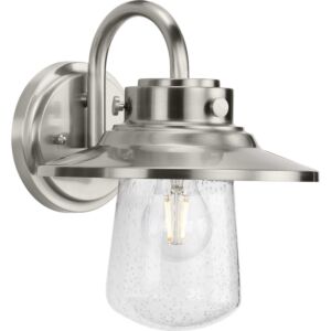 Tremont 1-Light Wall Lantern in Stainless Steel