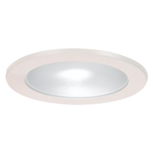Generation Lighting 4" Frosted Glass Shower Trim