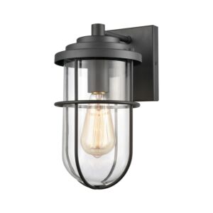 Coastal Farm 1-Light Outdoor Wall Sconce in Charcoal