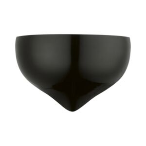 Amador 1-Light Wall Sconce in Shiny Black