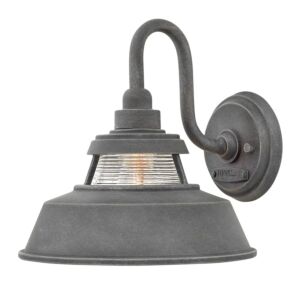 Hinkley Troyer 1-Light Outdoor Light In Aged Zinc