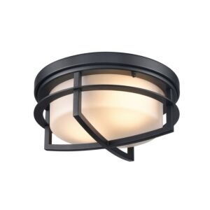 Five Points Outdoor 2-Light Outdoor Flush Mount in Black
