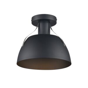 Alcenon Outdoor 1-Light Outdoor Flush Mount in Black and Stainless Steel