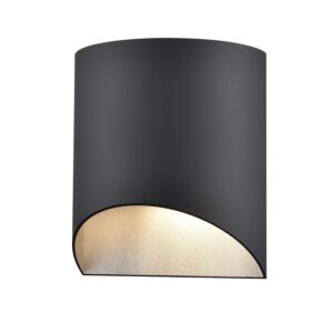 DVI Brecon Outdoor 1-Light Wall Sconce in Stainless Steel and Black
