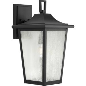 Padgett 1-Light Outdoor Wall Lantern in Black
