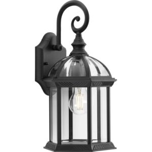 Dillard 1-Light Outdoor Wall Lantern in Black