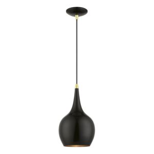 Andes 1-Light Mini Pendant in Shiny Black w with Polished Brass