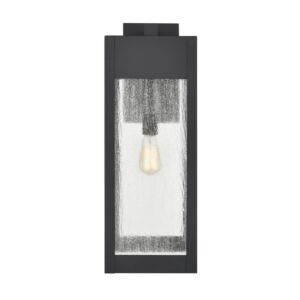 Angus 1-Light Outdoor Wall Sconce in Charcoal