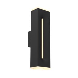 2-Light LED Wall Sconce in Black