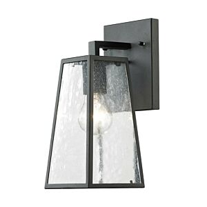 Osmond 1-Light Outdoor Wall lantern in Matte Black