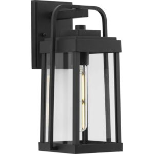 Walcott 1-Light Outdoor Wall Lantern in Black