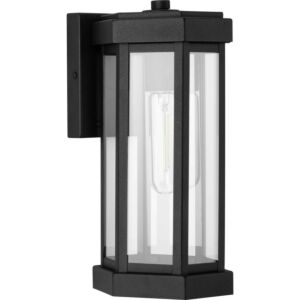 Ramsey 1-Light Outdoor Wall Lantern in Black