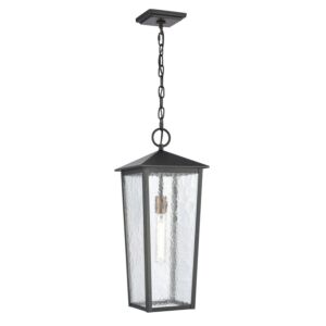 Marquis 1-Light Outdoor Hanging Lantern in Matte Black