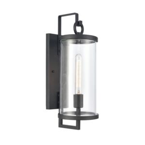 Hopkins 1-Light Outdoor Wall Sconce in Charcoal Black