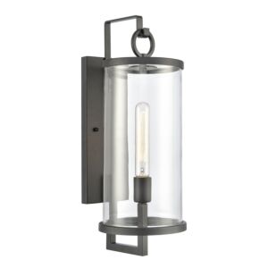 Hopkins 1-Light Outdoor Wall Sconce in Charcoal Black