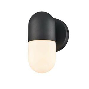 DVI Capsule Outdoor 1-Light Wall Sconce in Black