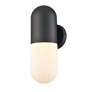 Capsule Outdoor 1-Light Wall Sconce in Black