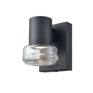 Rouge Valley 1-Light Wall Sconce in Black