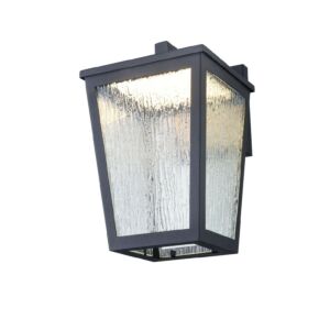 Calabasis 1-Light LED Wall Sconce in Black
