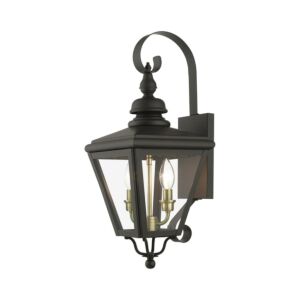 Adams 2-Light Outdoor Wall Lantern in Bronze with Antique Brass