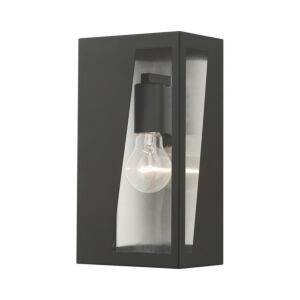 Forsyth 1-Light Outdoor Wall Lantern in Black with Brushed Nickel Stainless Steel Reflector