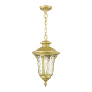 Oxford 1-Light Outdoor Pendant in Soft Gold
