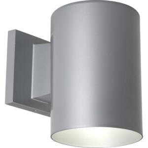 Cylinder 1-Light Wall Lantern in Metallic Gray