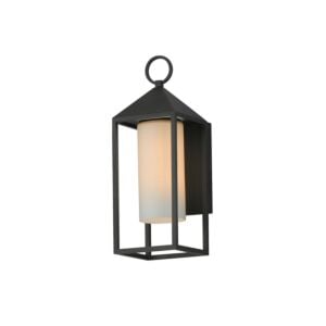 Aldous 1-Light Outdoor Wall Sconce in Black