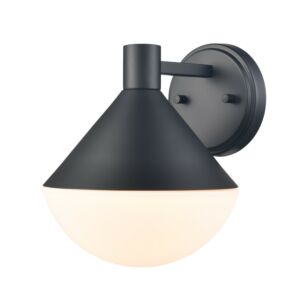 Agawa Outdoor 1-Light Outdoor Wall Sconce in Black