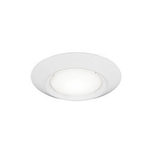 Traverse LED Lyte 1-Light LED Downlight in White