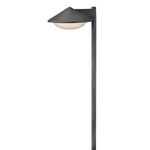 Contempo Path 1-Light LED Path Light in Charcoal Gray
