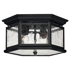 Hinkley Edgewater 2-Light Flush Mount Outdoor Ceiling Light In Black