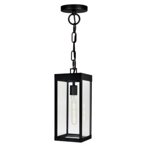 Windsor 1-Light Outdoor Hanging Lantern in Black
