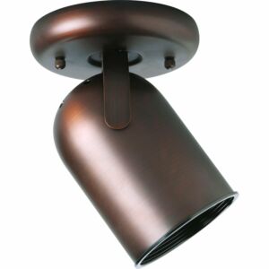 Directional 1-Light Wall with Ceiling Mount in Urban Bronze