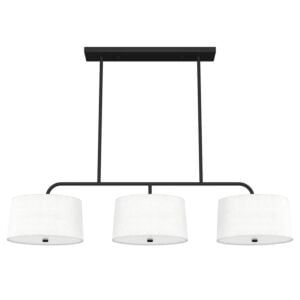 Cottage Hill 6-Light Linear Chandelier in Natural Black Iron