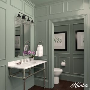 Hunter Cypress Grove 4-Light Bathroom Vanity Light in Natural Iron